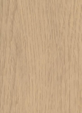بلوط طبيعي